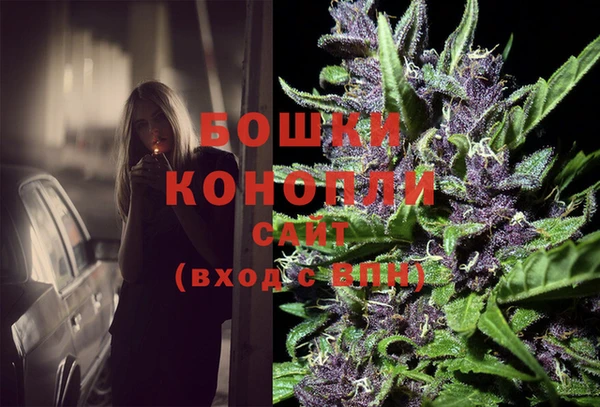 дурь Богданович