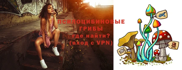 дурь Богданович