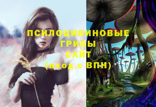 соль курить ск Богородицк