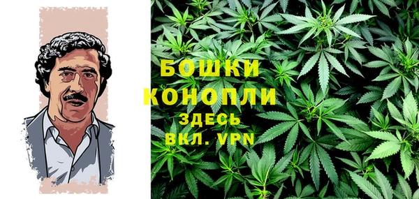 твердый Богородск