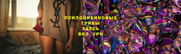 твердый Богородск